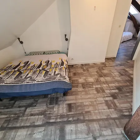 A 18min Du Zoo 30min Des 24h Du Mans Le Lude