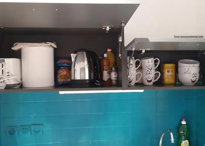 A 18min Du Zoo 30min Des 24h Du Mans Appartement *