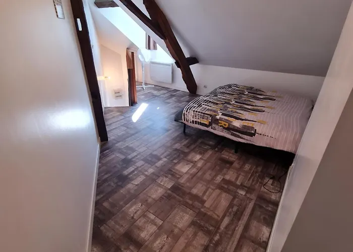 Appartement A 18min Du Zoo 30min Des 24h Du Mans