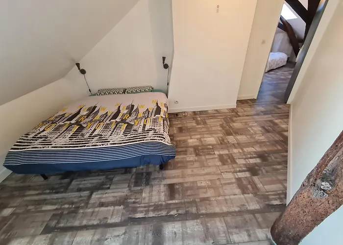 A 18min Du Zoo 30min Des 24h Du Mans Le Lude