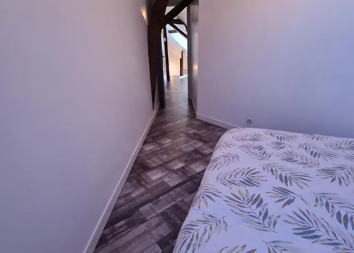 Appartement A 18min Du Zoo 30min Des 24h Du Mans Le Lude