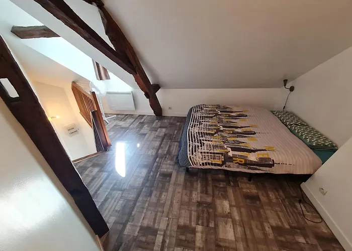 A 18min Du Zoo 30min Des 24h Du Mans *